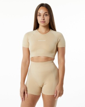 Alphalete Amplify V-Neck Crop Top Skjorte Dame Hazelnut | IARZFN-890