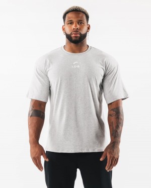 Alphalete Brushed Crest Tee Skjorte Herre Grå | OCLJPG-713