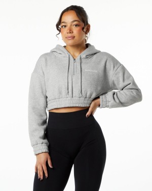 Alphalete Classic Capital Crop Hoodie Hettegenser Dame Grå | HMNULI-257