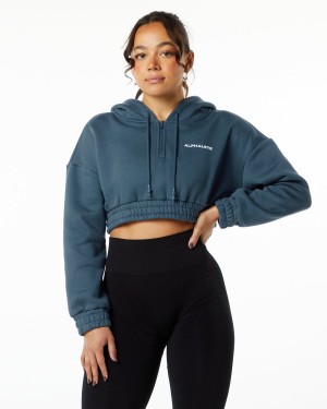 Alphalete Classic Capital Crop Hoodie Hettegenser Dame Blå | DJFEZO-046