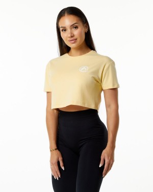 Alphalete Dynasty Crop Skjorte Dame Daffodil | JPOUGD-053