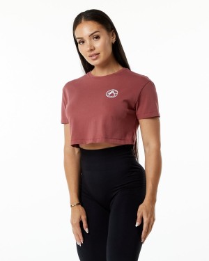 Alphalete Dynasty Crop Skjorte Dame Gingerbread | NLWZDG-914