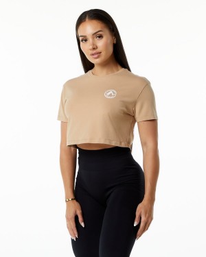 Alphalete Dynasty Crop Skjorte Dame Taupe | YZTBML-347