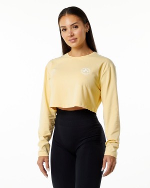 Alphalete Dynasty LS Crop Langermet Dame Daffodil | SQAZBH-261