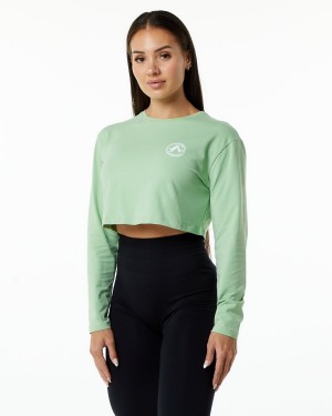 Alphalete Dynasty LS Crop Langermet Dame Pistachio | MXGVID-286