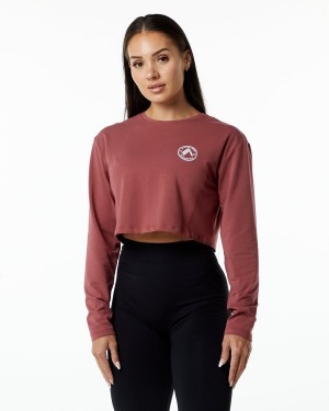 Alphalete Dynasty LS Crop Langermet Dame Gingerbread | JUAGXQ-254