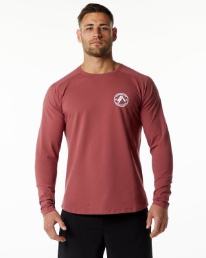 Alphalete Dynasty LS Tee Skjorte Herre Gingerbread | GVUYMX-163