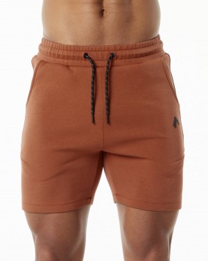 Alphalete ELMTS Atletiske Kort 6" Shorts Herre Brick | XOYHWG-985