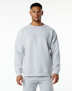 Alphalete ELMTS Crewneck Genser Jakker Herre Grå | BKDCGF-136