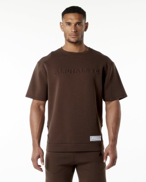 Alphalete ELMTS Half Sleeve Pullover Jakker Herre Brune | NFMEUJ-456