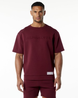 Alphalete ELMTS Half Sleeve Pullover Jakker Herre Burgunder | COQWVY-593