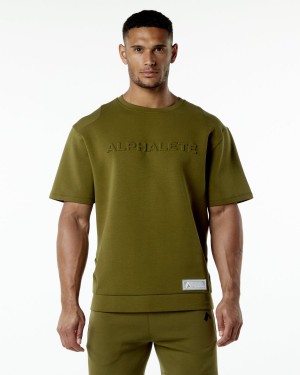 Alphalete ELMTS Half Sleeve Pullover Jakker Herre Moss | KJDRBV-593