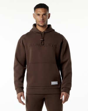 Alphalete ELMTS Hoodie Hettegenser Herre Brune | WTLNOF-497