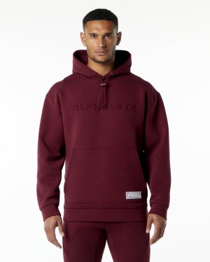 Alphalete ELMTS Hoodie Hettegenser Herre Burgunder | RXWPTQ-596