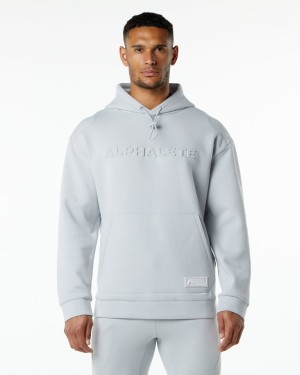 Alphalete ELMTS Hoodie Hettegenser Herre Grå | XZLCFK-681