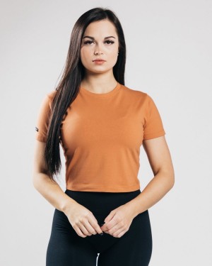 Alphalete Essential Kort Sleeve Crop Skjorte Dame Clay | BNWUTF-425