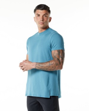 Alphalete Evo Tee Skjorte Herre Blå | QDIALH-507