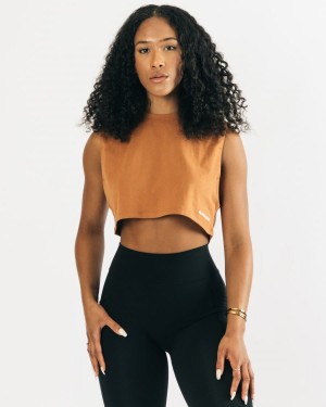 Alphalete Heavy Bomull Cropped Cutoff Tank Top Dame Clay | ZTLGRI-984