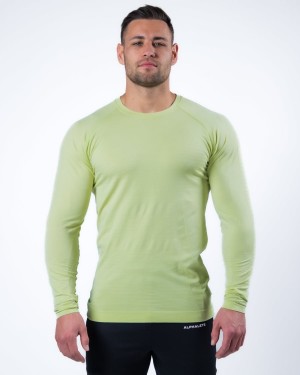 Alphalete Hero Long Sleeve Tee Skjorte Herre Frozen Spring | QRGSDU-701