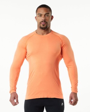 Alphalete Hero Long Sleeve Tee Skjorte Herre Faded Day Tripper | VQNFIA-234