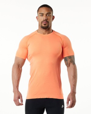 Alphalete Hero Tee Skjorte Herre Faded Day Tripper | ZRAJDV-509