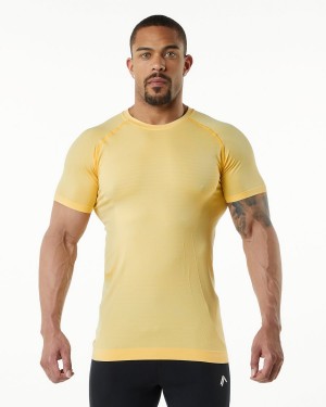 Alphalete Hero Tee Skjorte Herre Faded Honey | YEFOZD-903