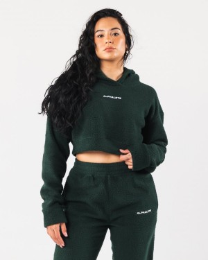 Alphalete King Crop Hoodie Hettegenser Dame Evergreen | JLUFQD-098