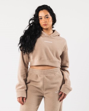 Alphalete King Crop Hoodie Hettegenser Dame Linen | CJUYQP-935