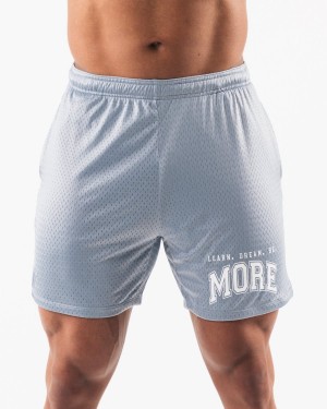 Alphalete LDB More Mesh Kort 6” Shorts Herre Blå | OBHZIT-206