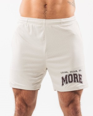 Alphalete LDB More Mesh Kort 6" Shorts Herre Sea Shell | FKJCDN-462