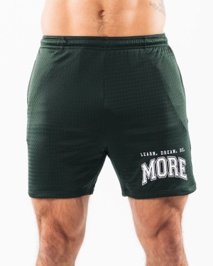 Alphalete LDB More Mesh Kort 6" Shorts Herre Evergreen | IHZVRL-089