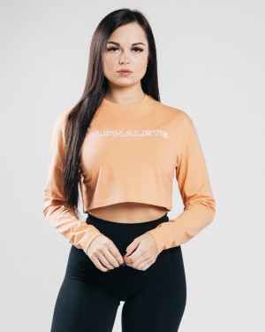 Alphalete Outlined Long Sleeve Crop Langermet Dame Oransje | BQRLJZ-659