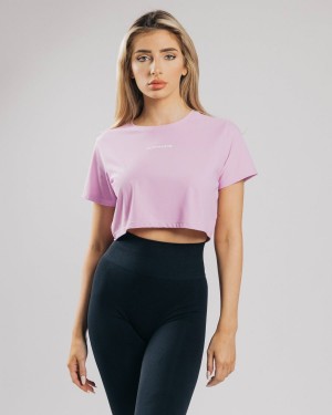 Alphalete Signature Mesh Crop Skjorte Dame Rosa | LCMQGP-349