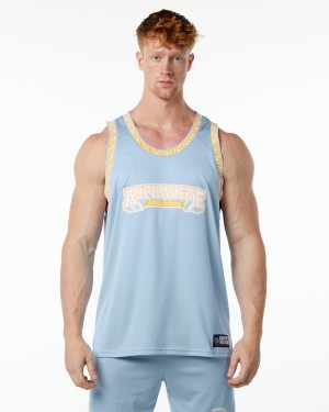 Alphalete Varsity Basketball Jersey Stringers Herre Lyse Blå | FQYEND-813