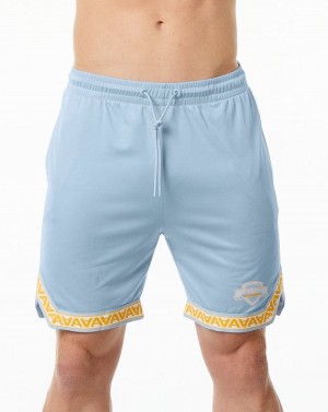 Alphalete Varsity Basketball Kort 9" Shorts Herre Lyse Blå | BCPDZA-702