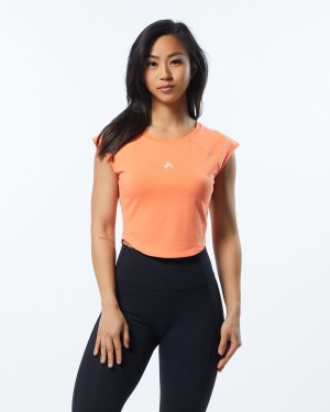 Alphalete Velocity Crop Tee Skjorte Dame Electric Peach | XDWVZI-018