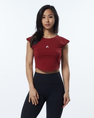 Alphalete Velocity Crop Tee Skjorte Dame Rød | HAPFUD-971