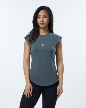 Alphalete Velocity Tee Skjorte Dame Grå | QMNEHD-016