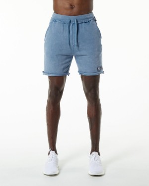 Alphalete Very Terry Kort Shorts Herre Blå | MHQXLK-054