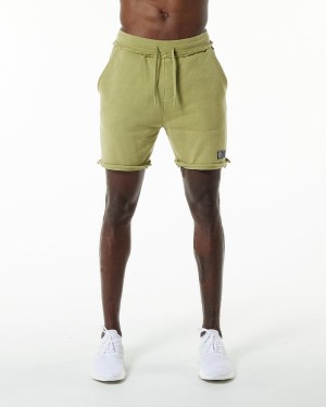 Alphalete Very Terry Kort Shorts Herre Grønn | CUQVBX-052