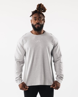 Alphalete Wolf Head LS Tee Skjorte Herre Grå | WXFIZT-187