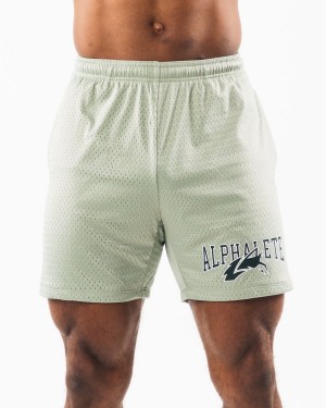 Alphalete Wolf Head Mesh Kort 6" Shorts Herre Sage | DBPEJW-418