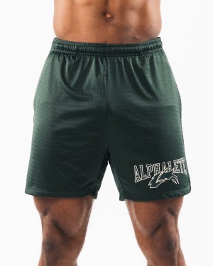 Alphalete Wolf Head Mesh Kort 6" Shorts Herre Evergreen | HFKCJU-103