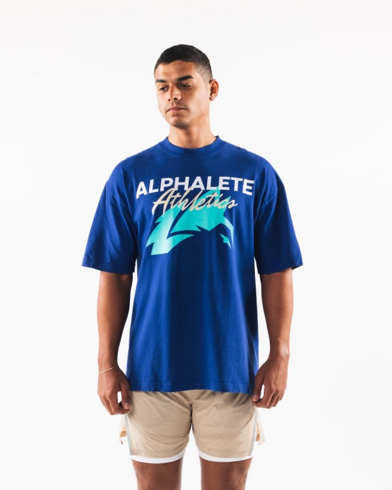 Alphalete AA Beach Tee Skjorte Dame Kongeblå Blå | HABPLG-942