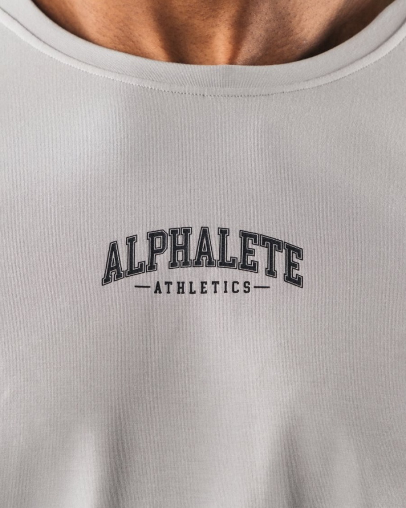 Alphalete AA Paisley Print LS Tee Skjorte Herre Grå | JKVWUO-493