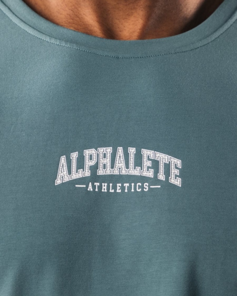 Alphalete AA Paisley Print LS Tee Skjorte Herre Turkis | BXCJOM-593