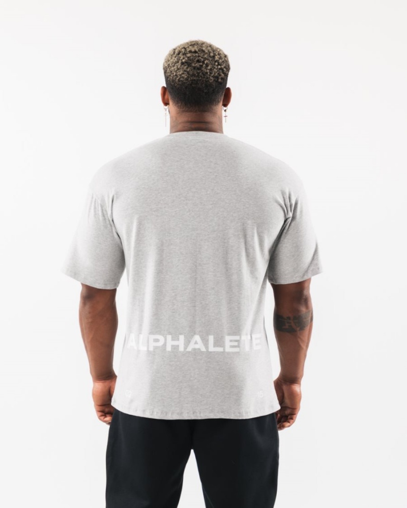 Alphalete Brushed Crest Tee Skjorte Herre Grå | OCLJPG-713