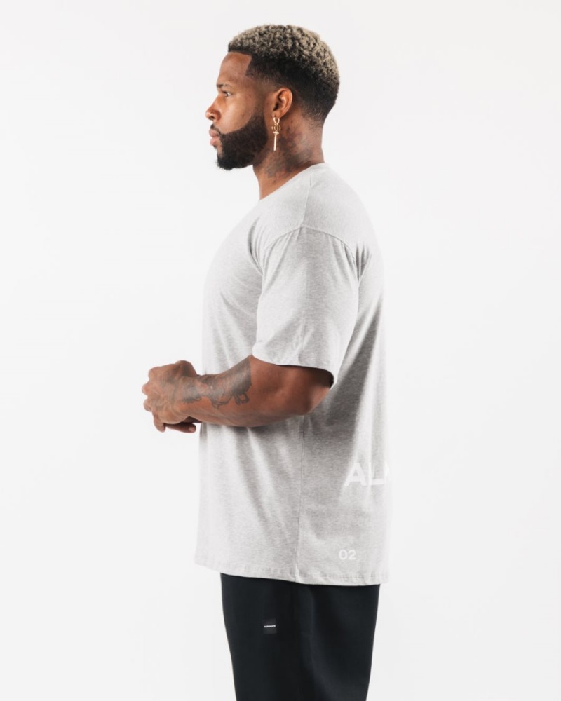 Alphalete Brushed Crest Tee Skjorte Herre Grå | OCLJPG-713