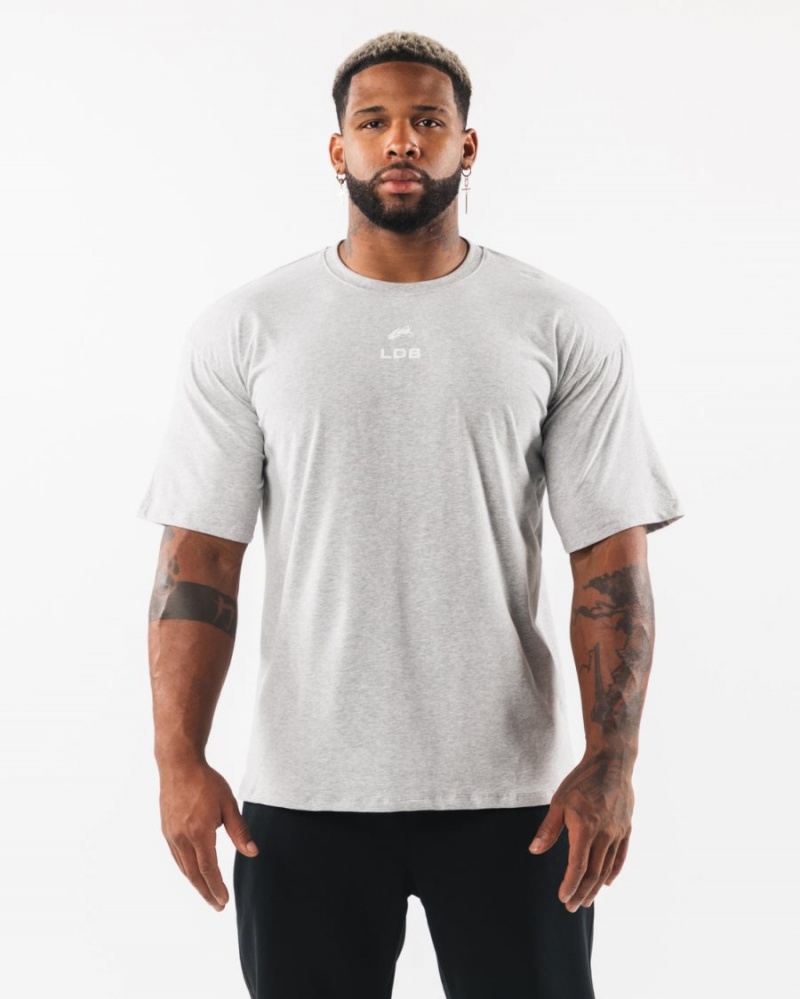 Alphalete Brushed Crest Tee Skjorte Herre Grå | OCLJPG-713