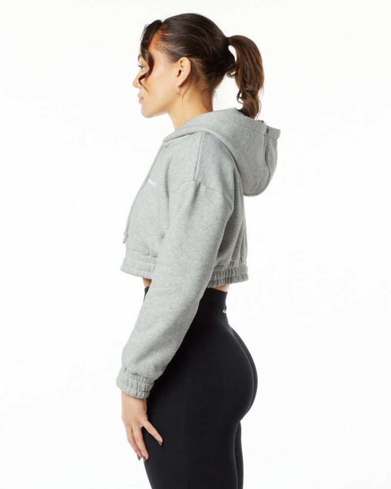 Alphalete Classic Capital Crop Hoodie Hettegenser Dame Grå | HMNULI-257